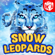 Báo Tuyết game cover